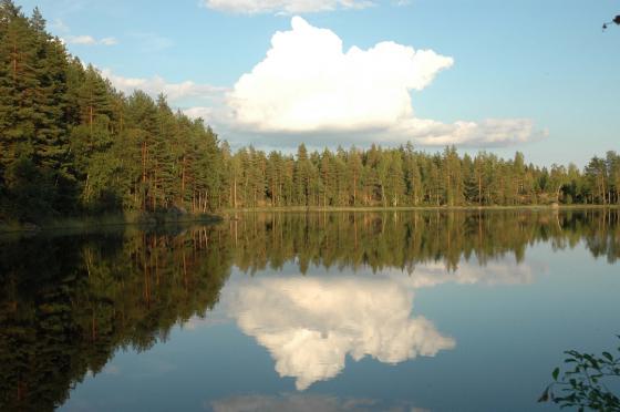 Jep, tästä mä tykkään. Siis luonnosta, kuva nyt on mitä on...