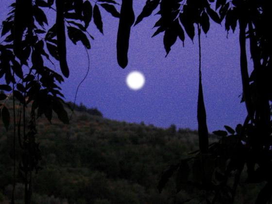 Full Moon, Castelfranco di Sopra, Tuscany