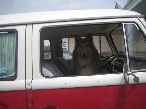 Lassie & meidän kesäkiesi