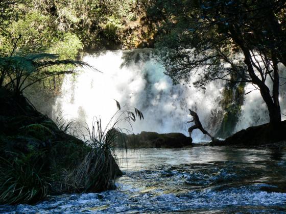 Tarawera falls