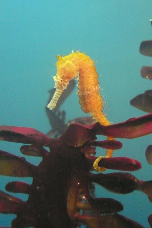 berlin aquarium