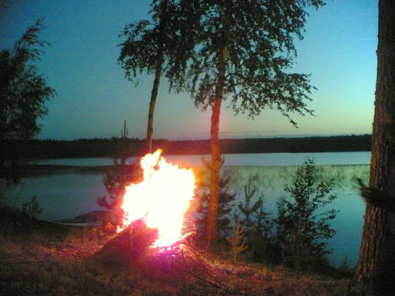 Juhannuskokko