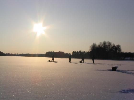 Pilkillä ottamasaa arskaa