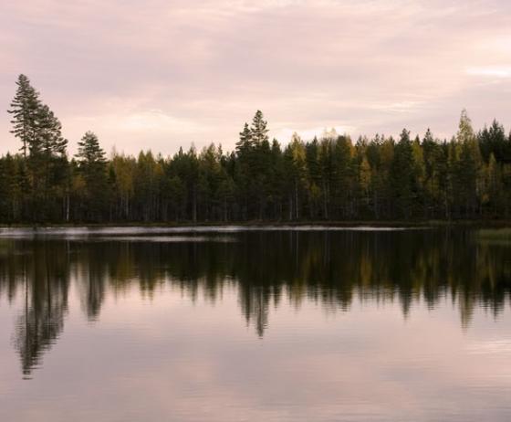 Into The Lake Of Ghosts :)