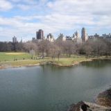 Central Park