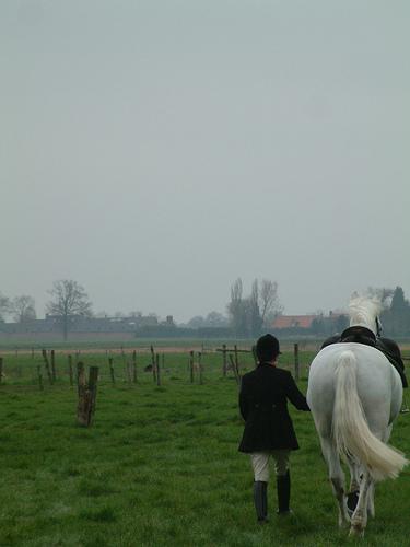 Hunting in The Netherlands