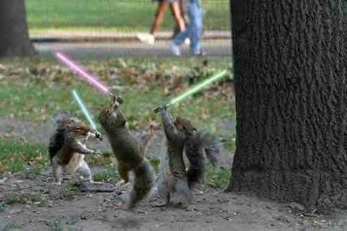 Or do they have THE force?  (noup, EVIL SQUIRRELS)