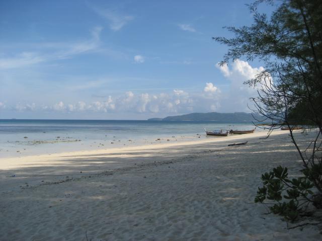 Bamboo island