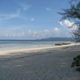 Bamboo island