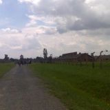 Auschwitz-Birkenau