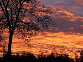 Tammikuinen aamu taivas