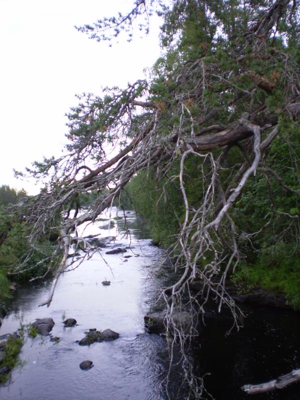 kotikylän maisemia