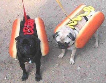 Two hotdogs =D