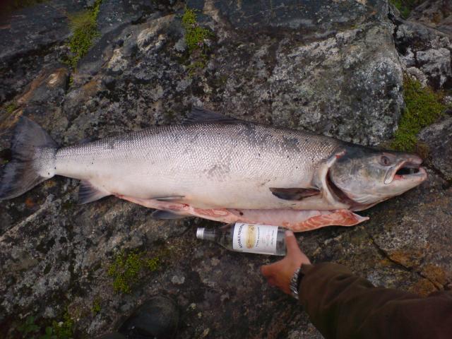 Kojamo 17.7 kg...pottupullo esittää perinteisen tulitikkuaskin virkaa :)