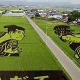 Riisipeltotaidetta Aomorissa Japanissa..