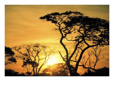 Botswana, Kalahari Desert -> Sunset