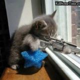 Kitty - Sniper