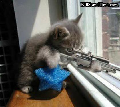 Kitty - Sniper