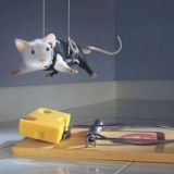 Mission impossible Mouse..
