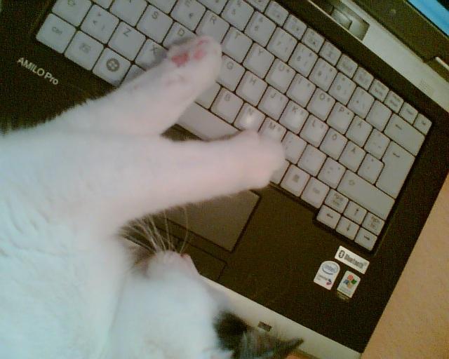 @ work - työpaikkakiusaaja 17.9.2007 (blogi)