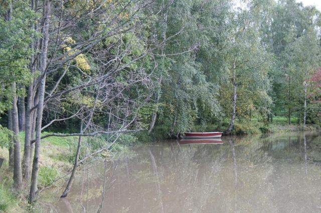 Näkymä kotipihalta