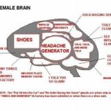 Naisen aivot =D