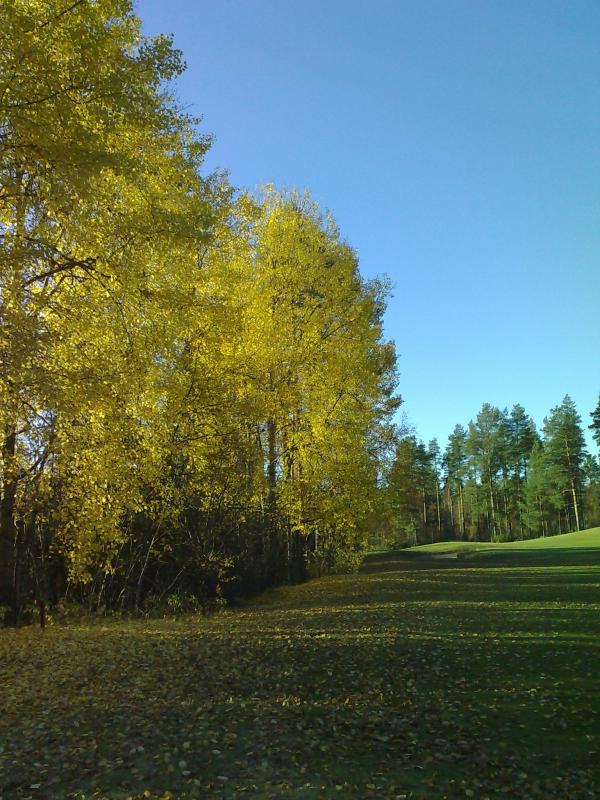 Syksy peittää Sankivaaran.