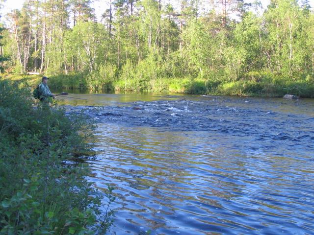 Tältä paikalta paukku 2 tanelia ja harri, fiilistä oli perkeleesti vähemmän ku hyttysiä... tunnelma siitä huolimatta melko korkeella.