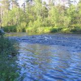 Tältä paikalta paukku 2 tanelia ja harri, fiilistä oli perkeleesti vähemmän ku hyttysiä... tunnelma siitä huolimatta melko korkeella.