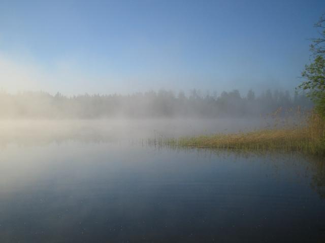 Kesäinen aamu mökillä