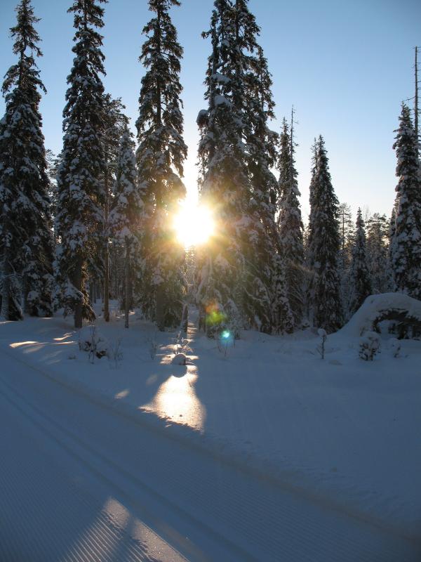 Keskipäivän aurinko Luostolla 30.1.08