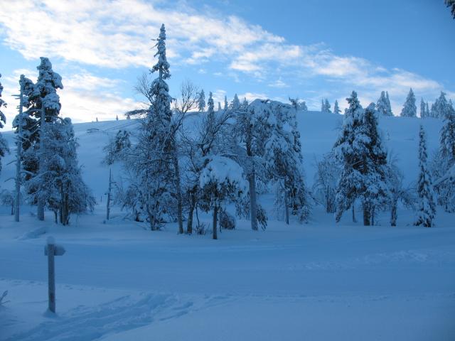 Sininen hetki