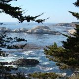 Monterey Aquarium, Big Sur, Kalifornia