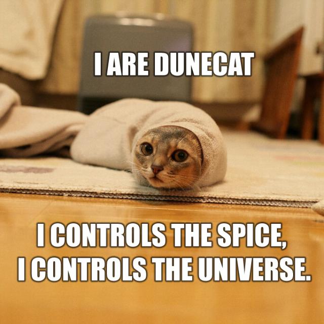 Dunecat