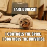 Dunecat