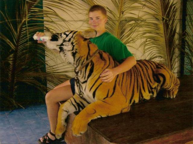 Kesytin 15-vuotiaana tiikerin Samuilla Thaimaassa :)