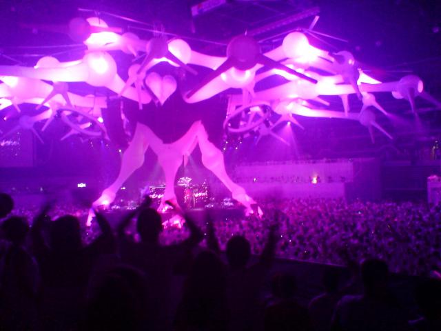 sensation white, hungary