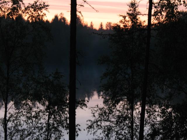 Kesäyö