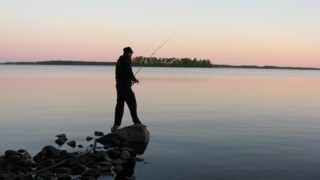 Lestillä kalas.