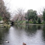 Day 4: St. Stephens green