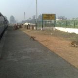 Patrangan rautatieasema, jossain välillä Agra - Varanasi...