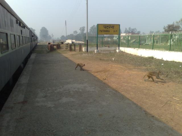 Patrangan rautatieasema, jossain välillä Agra - Varanasi...