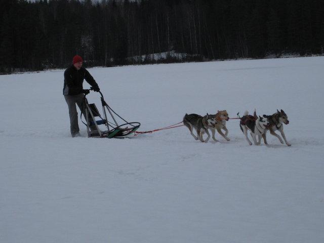 Mökillä