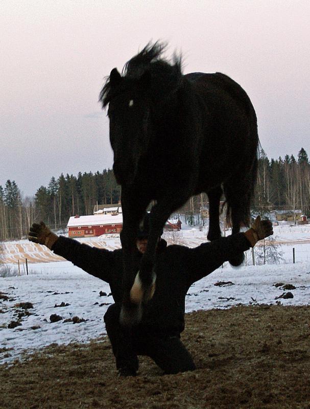 naamakuva,mutta heppa oli tiellä:(