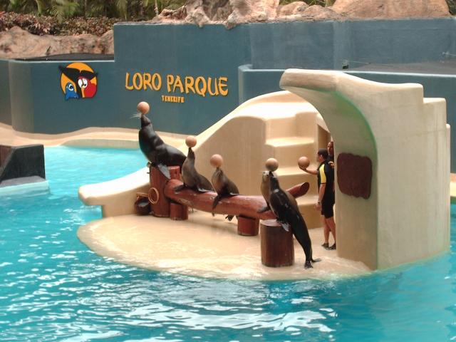 loro parquessa