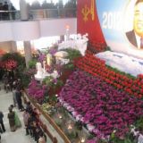 Kim Il-Sungin syntymäpäivän kunniaksi järjestetyssä kukkanäytteyssä oli esillä pääasiassa kahta lajiketta: Kimilsungia-orkideoja (kuvan violetit kukat) ja Kimjongilia-begonioita (punaiset kukat). Paikalliset kuvauttivat itsensä kukka-asetelmien edess