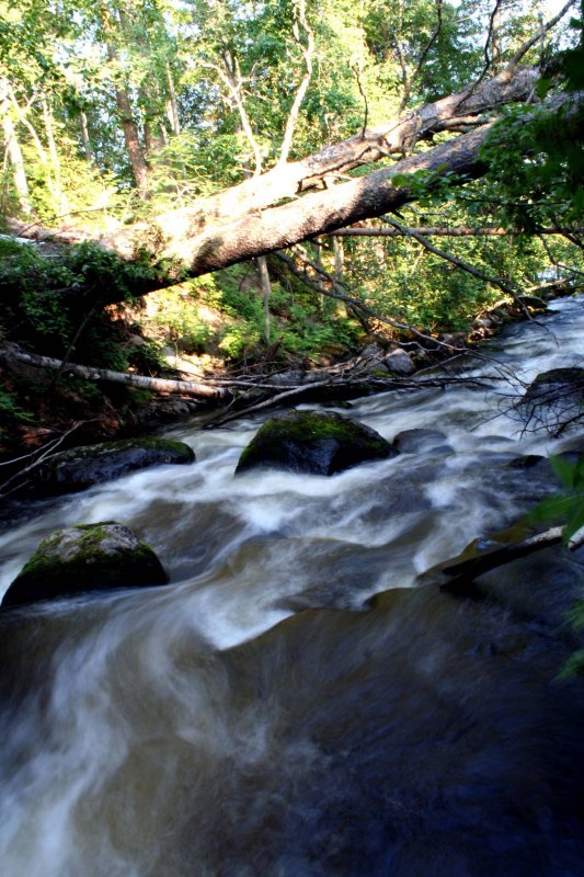 Kuusaankoski, Laukaa