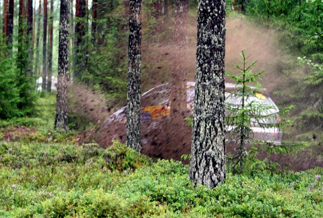 petäjikkö ryskyy