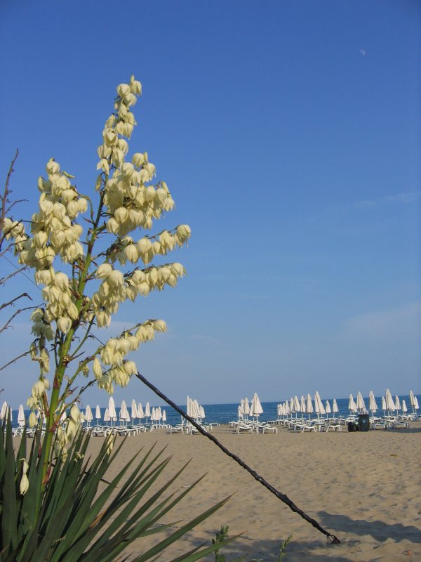 Sunny Beach, Bulgaria