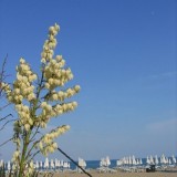 Sunny Beach, Bulgaria